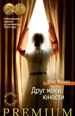 Элис Манро Друг моей юности обложка книги