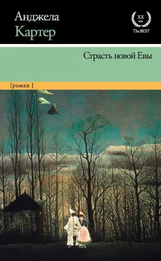 Анджела Картер Страсть новой Евы обложка книги