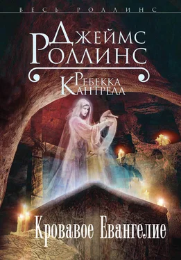 Ребекка Кантрелл Кровавое Евангелие обложка книги