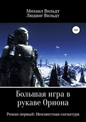 Людвиг Вильдт - Неизвестная сигнатура