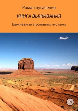 Роман Пугаченко Книга выживания 2 обложка книги