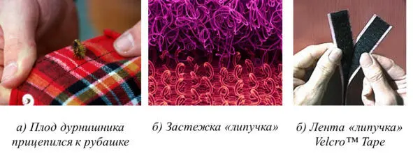 Рис 118 Застежкалипучка Пример 119 Глубоководная губка оптоволокно - фото 21
