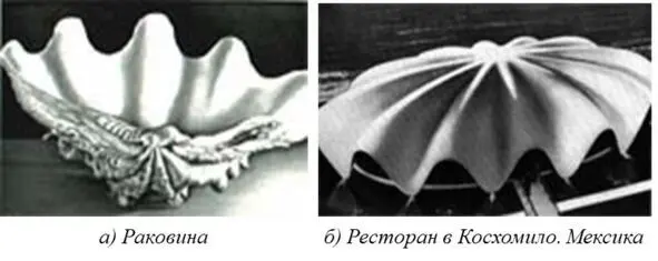 Рис 144 Ресторан раковина Пример 144 Вертикальный бионический - фото 47