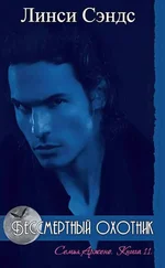 Линси Сэндс - Бессмертный охотник