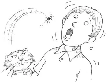 If anyone had any reason to make a fuss it was the poor old spider not fussy - фото 25