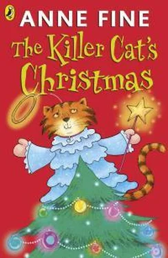 Энн Файн The Killer Cat's Christmas обложка книги