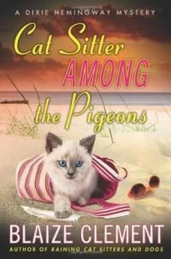 Блейз Клемент Cat Sitter Among The Pigeons обложка книги