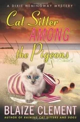 Блейз Клемент - Cat Sitter Among The Pigeons