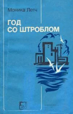 Моника Летч Год со Штроблом обложка книги