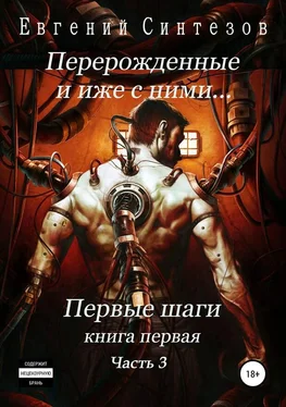 Евгений Синтезов Перерожденные и иже с ними… Первые шаги. Часть третья [SelfPub, 16+] обложка книги