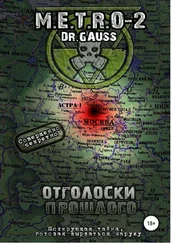 Dr Gauss - M.E.T.R.O – 2 Отголоски прошлого [SelfPub, 18+]