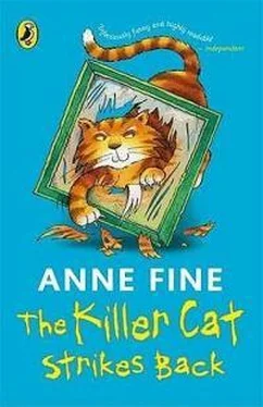 Энн Файн The Killer Cat Strikes Back обложка книги