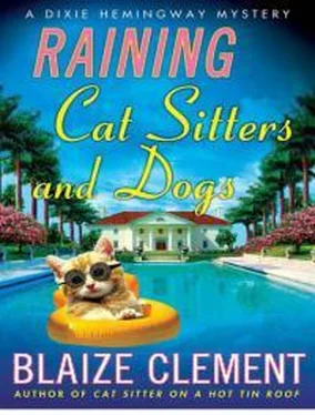 Блейз Клемент Raining Cat Sitters And Dogs обложка книги