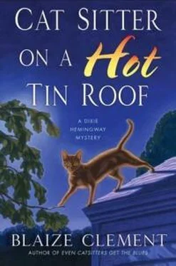 Блейз Клемент Cat Sitter On A Hot Tin Roof обложка книги