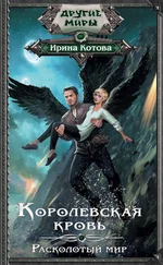 Ирина Котова - Расколотый мир [litres]