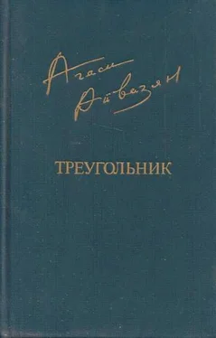 Агаси Айвазян Треугольник обложка книги