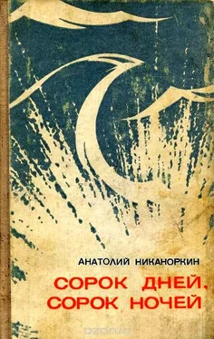 Анатолий Никаноркин Сорок дней, сорок ночей [Повесть] обложка книги