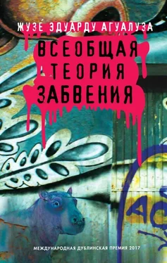 Жозе Агуалуза Всеобщая теория забвения обложка книги