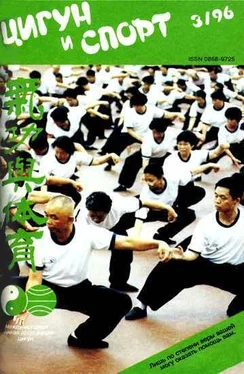 Неизвестный Автор «Цигун и жизнь» («Цигун и спорт»)-03 (1996) обложка книги