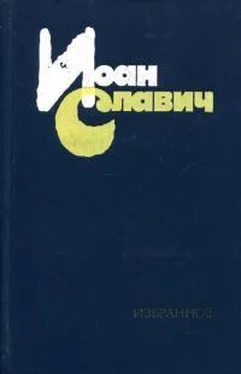 Йоан Славич Избранное обложка книги