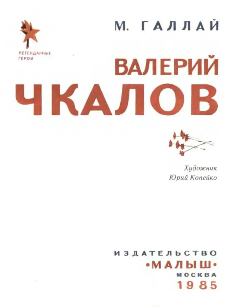 СЛАВА ЧТО ЭТО ТАКОЕ По улице шёл широкоплечий человек в форме военного - фото 3