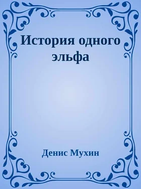 Денис Мухин История одного эльфа обложка книги