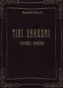 Валерий Шевчук Тіні зникомі обложка книги