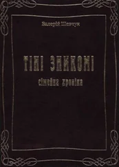 Валерий Шевчук - Тіні зникомі