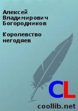 Алексей Богородников Королевство негодяев обложка книги