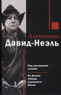 Александра Давид-Неэль Под грозовыми тучами. На Диком Западе огромного Китая обложка книги