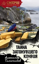 Александр Тамоников - Тайна затонувшего конвоя