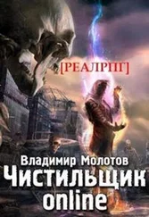 Владимир Молотов - Чистильщик online