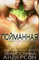 Эвангелина Андерсон - Пойманная