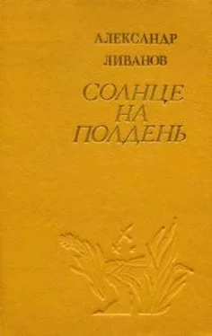 Александр Ливанов Солнце на полдень обложка книги