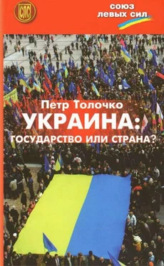 Пётр Толочко Украина: государство или страна? обложка книги