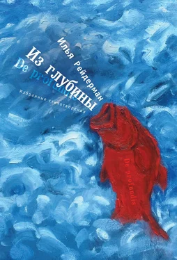 Илья Рейдерман Из глубины. Избранные стихотворения обложка книги