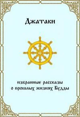 Будда Шакьямуни Джатаки. Избранные рассказы о прошлых жизнях Будды.