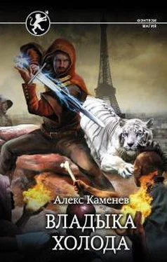 Алекс Каменев Владыка Холода обложка книги