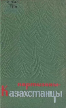 Ади Шарипов Партизаны-казахстанцы обложка книги