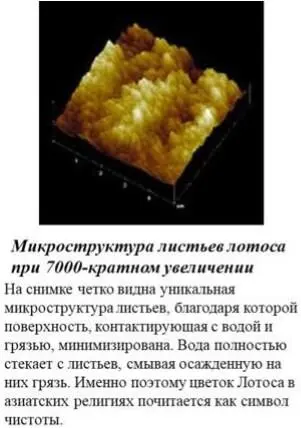 Рис 115в Принцип действия краски с эффектом Лотоса - фото 29