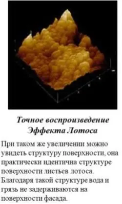 Рис 115б Микроструктура Лотоса Рис 115в Принцип действия краски с - фото 28