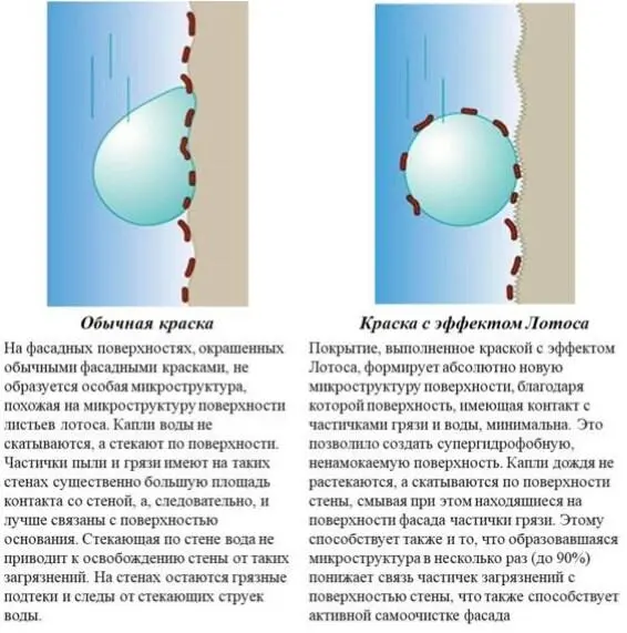 Рис 115г Результаты использования краски с эффектом Лотоса - фото 30