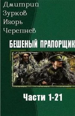 Дмитрий Зурков Бешеный прапорщик. Части 1-21 обложка книги