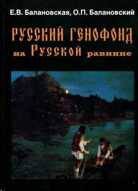 Елена Балановская Русский генофонд на Русской равнине обложка книги