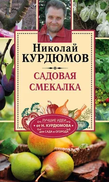 Николай Курдюмов Садовая смекалка обложка книги