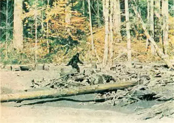 Снежный человек в кадре фильма Фильм снят в октябре 1967 года Роджером - фото 443