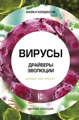 Майкл Кордингли - Вирусы. Драйверы эволюции. Друзья или враги?