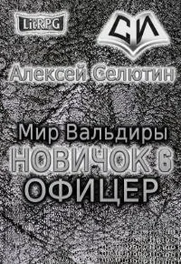 Алексей Селютин Офицер обложка книги