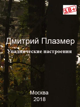 Дмитрий Плазмер Упаднические настроения обложка книги