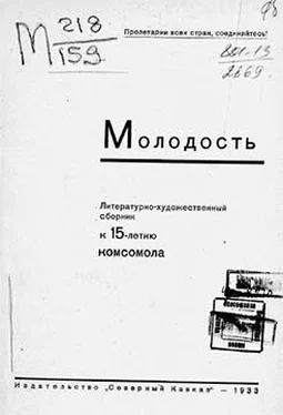 Антон Горшков Молодость [Литературно-художественный сборник] обложка книги